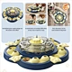 automatic dog feeder